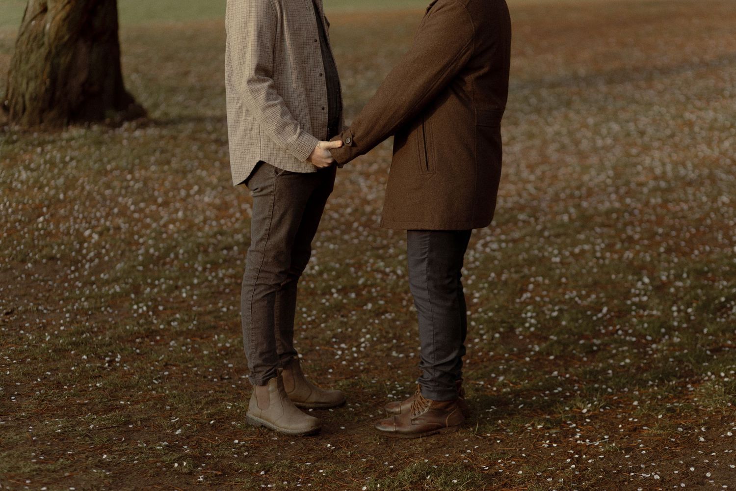 Gay couple at High Park during cherry Blossom season for their engagement photoshoot.