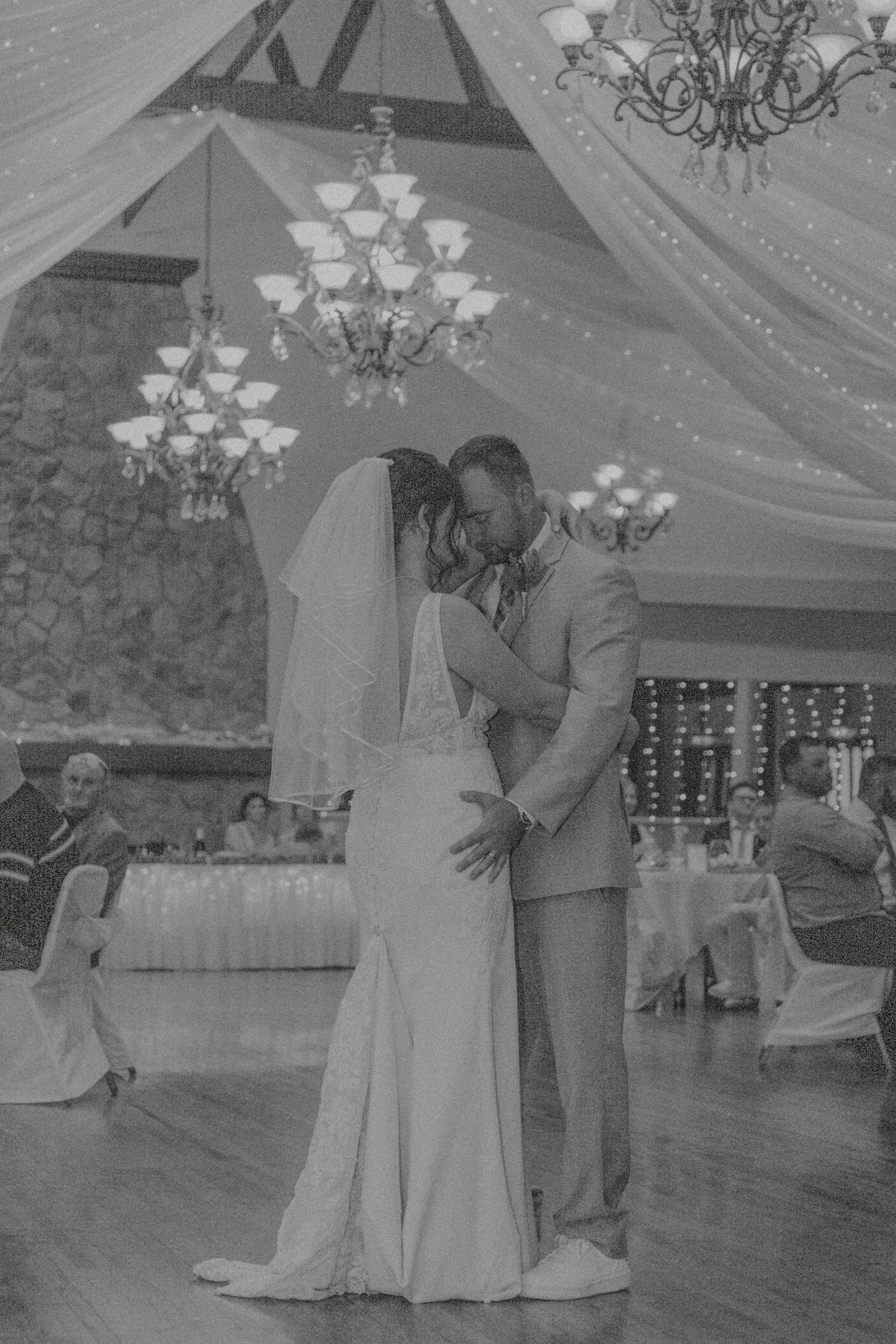 Cleveland, Ohio Wedding, Springvale Ballroom. Adeva Rae Photography