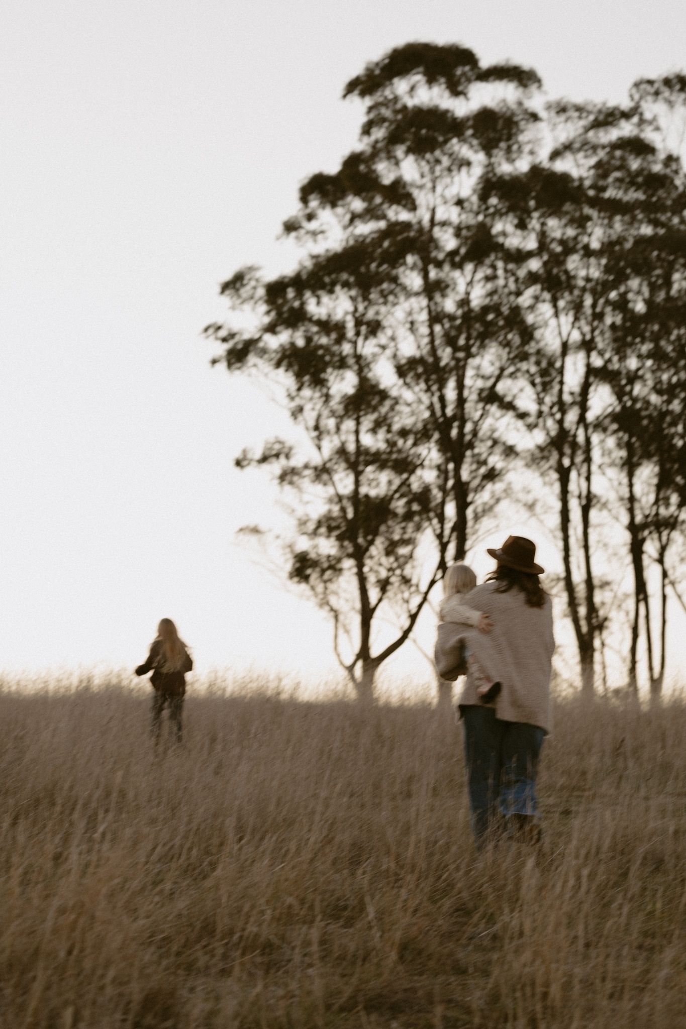 Silhouetted figures walk through tall golden grass at sunset with eucalyptus trees creating a dramatic backdrop.