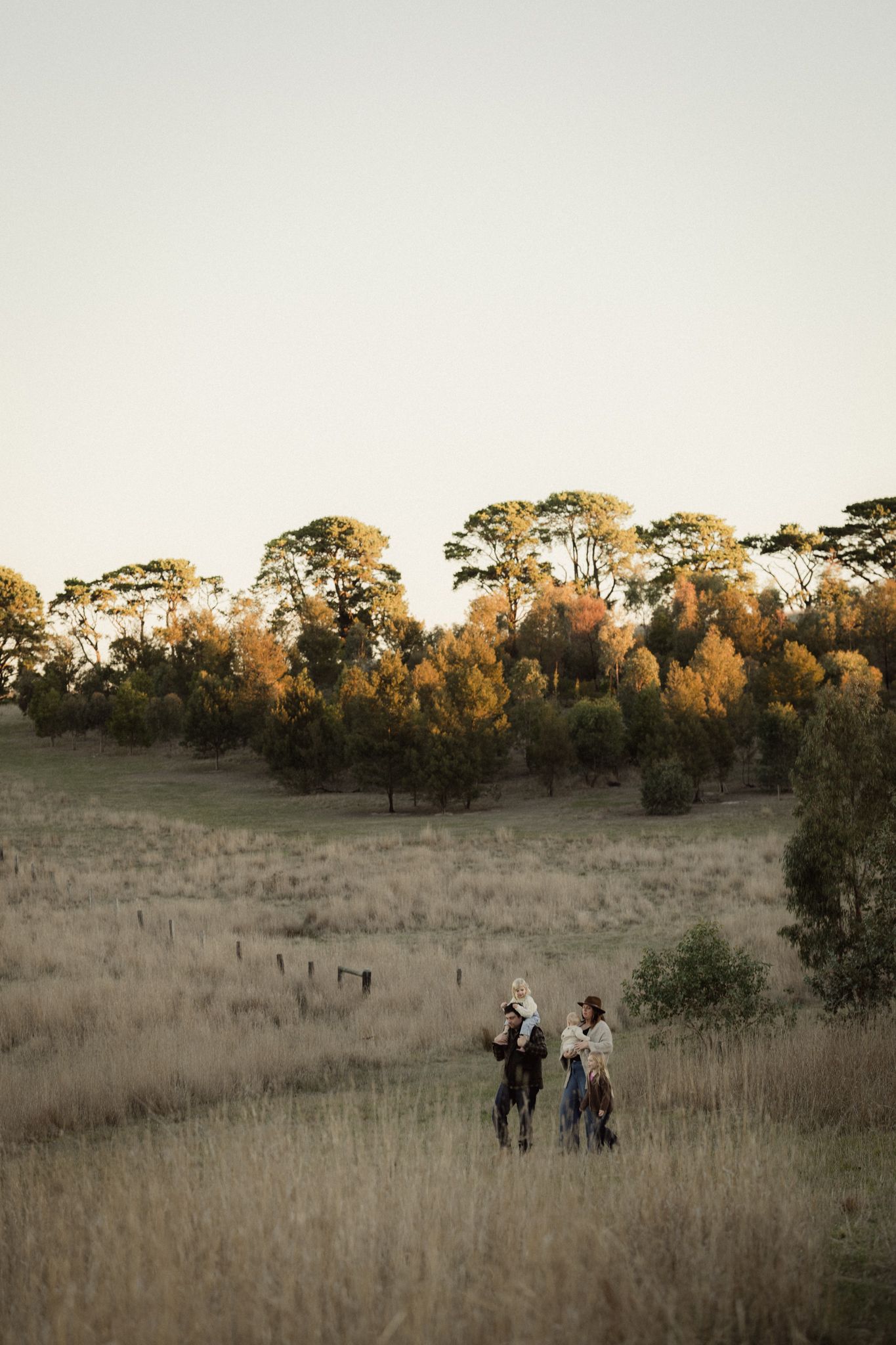 A group walks through a golden grassy field at sunset with tall trees along the horizon.