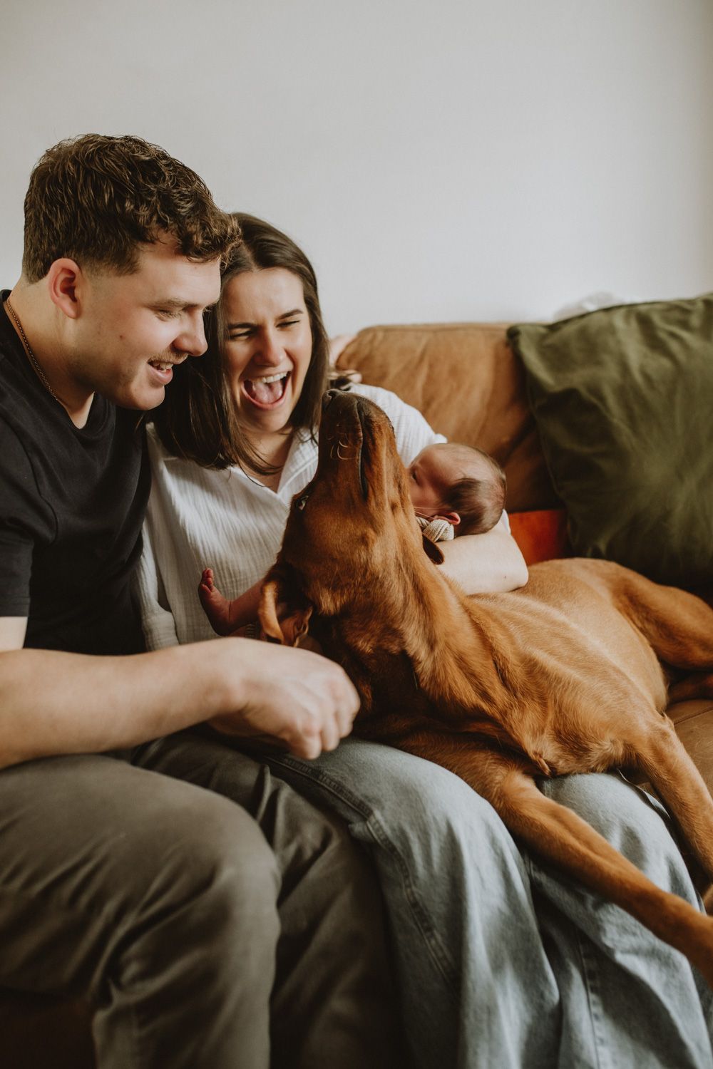 A couple relaxes on a couch with their affectionate brown Vizsla dog showing tender moments together.