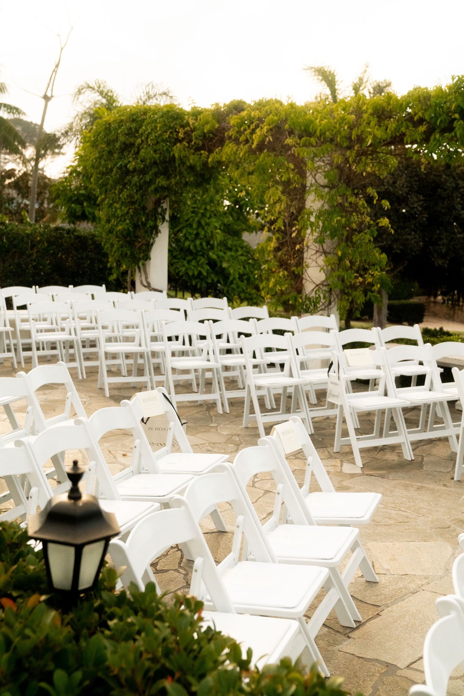 White wedding ceremony chairs arranged outdoors under a natural vine-covered archway.