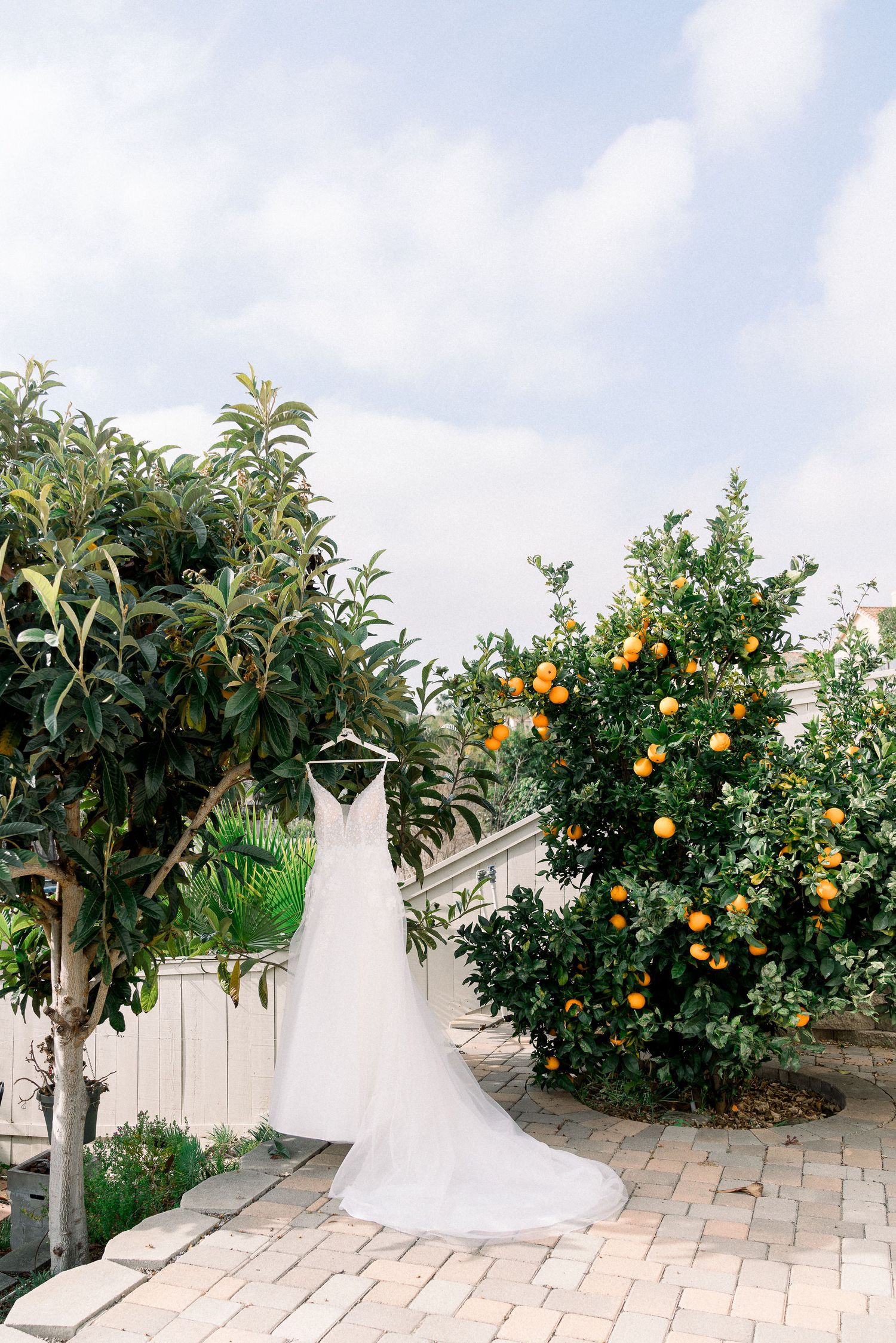 An elegant white wedding dress hangs on display in a garden path surrounded by citrus trees and stone pavers.