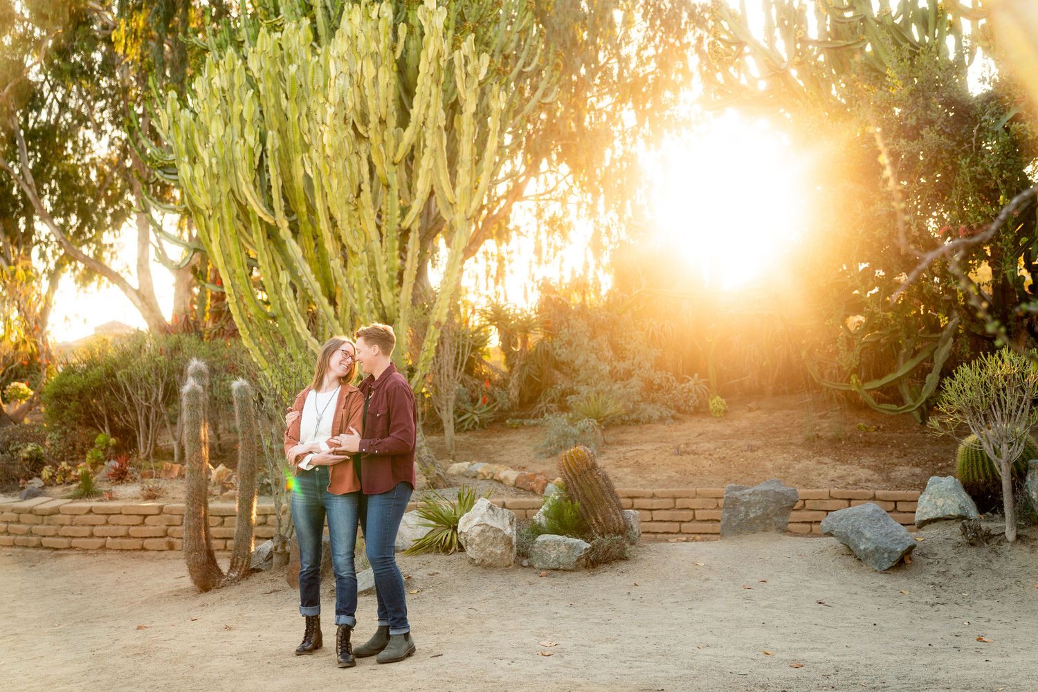 A couple embraces in a desert garden at sunset with golden light streaming through tall cactus plants and trees.
