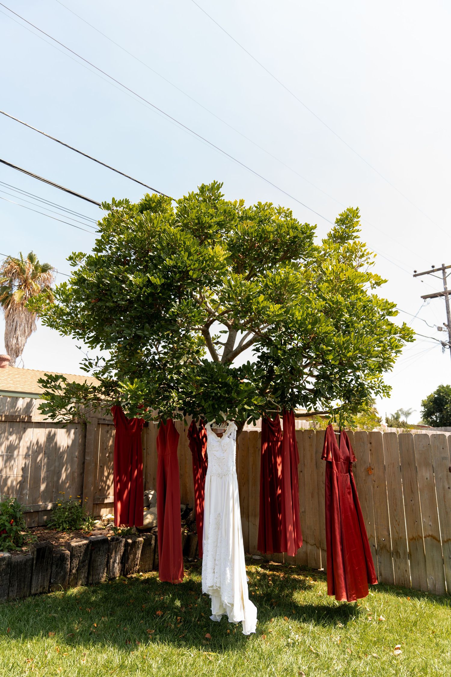 White wedding dress and red bridesmaid dresses hanging from a tree in a backyard garden setting.