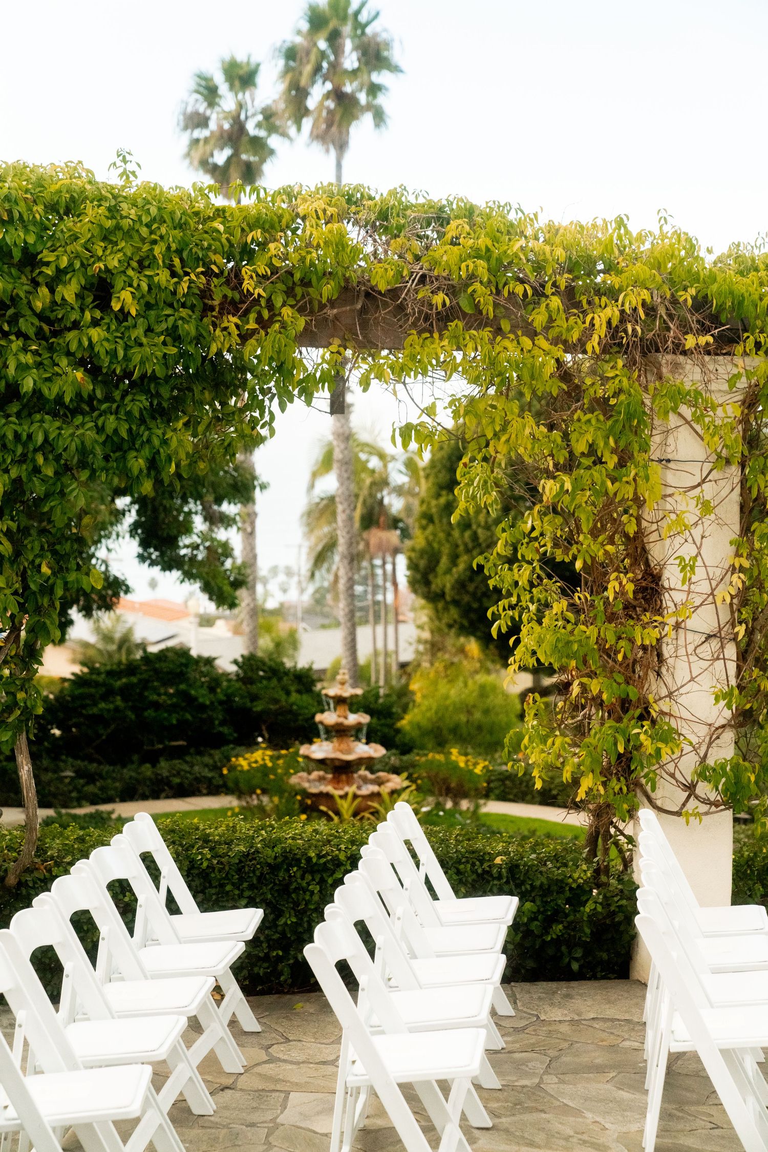 White folding chairs arranged for an outdoor wedding ceremony under a lush vine-covered arbor with palm trees in the distance.
