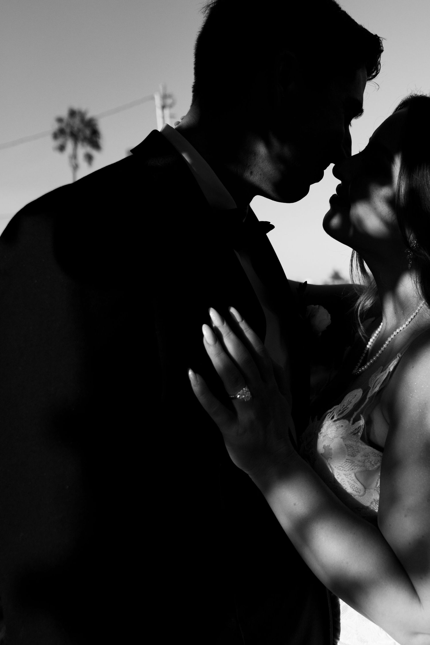 Silhouetted romantic couple embracing in dramatic black and white portrait with palm tree in background.