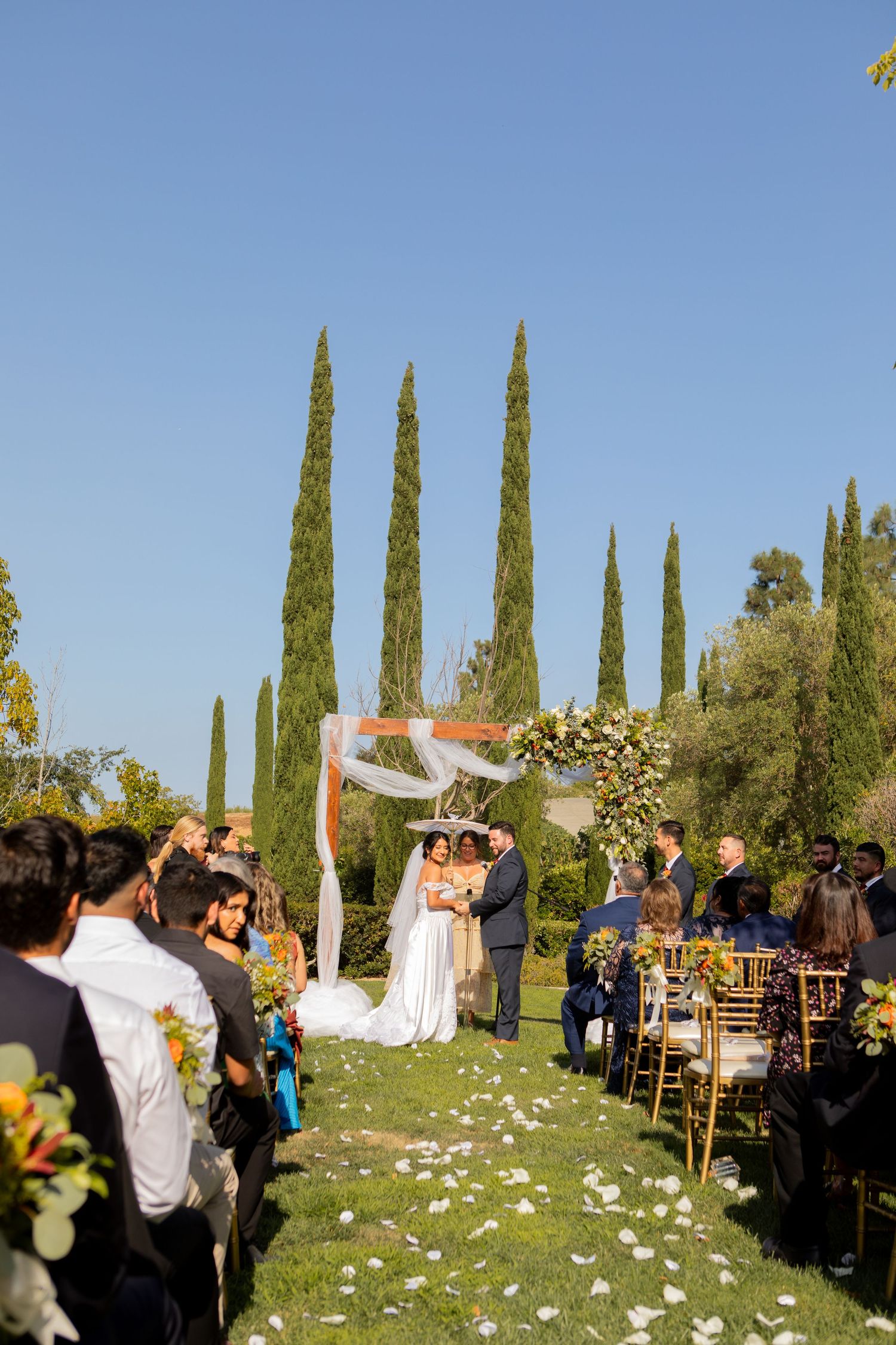 Outdoor wedding ceremony set against tall cypress trees with scattered white petals along the aisle.