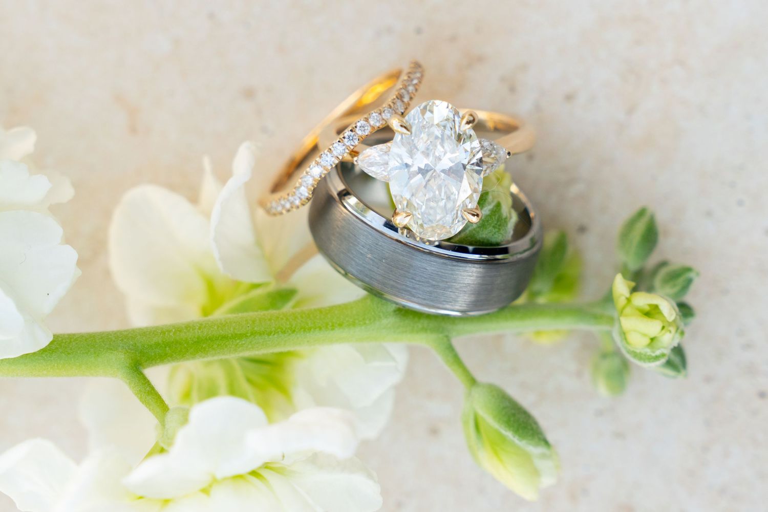 Wedding bands and engagement ring photographed on white flowers with delicate green stems and soft lighting.