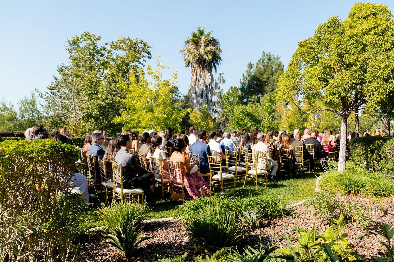 Garden wedding ceremony setup with wooden chairs arranged outdoors among lush greenery and palm trees.