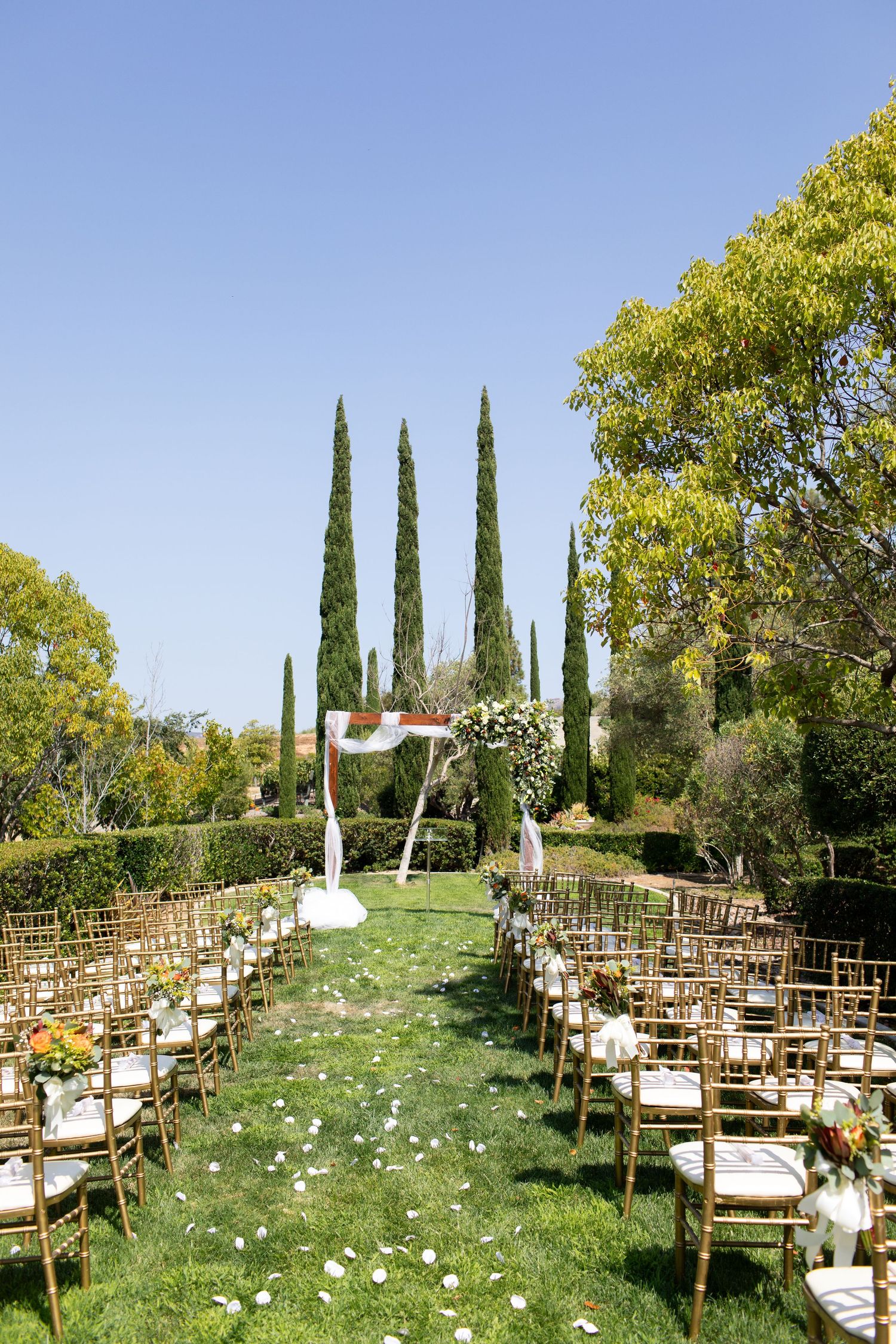 Outdoor garden wedding ceremony setup with white rose petals lining an aisle between gold chairs and tall cypress trees.