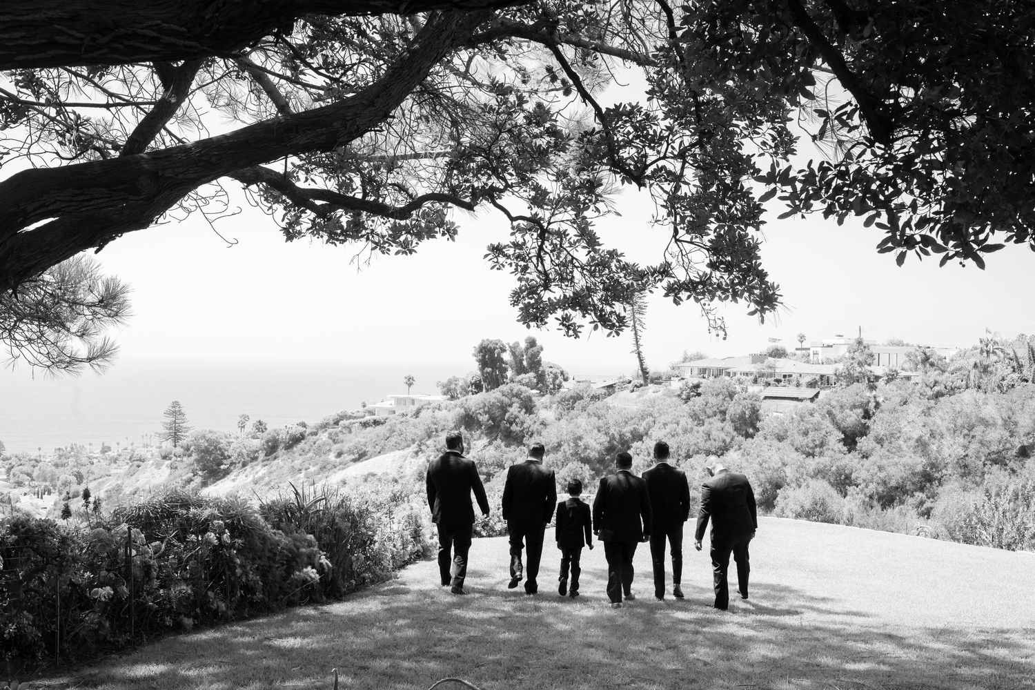 A group of silhouetted people walking together on a hillside path beneath an overhanging tree branch in black and white.