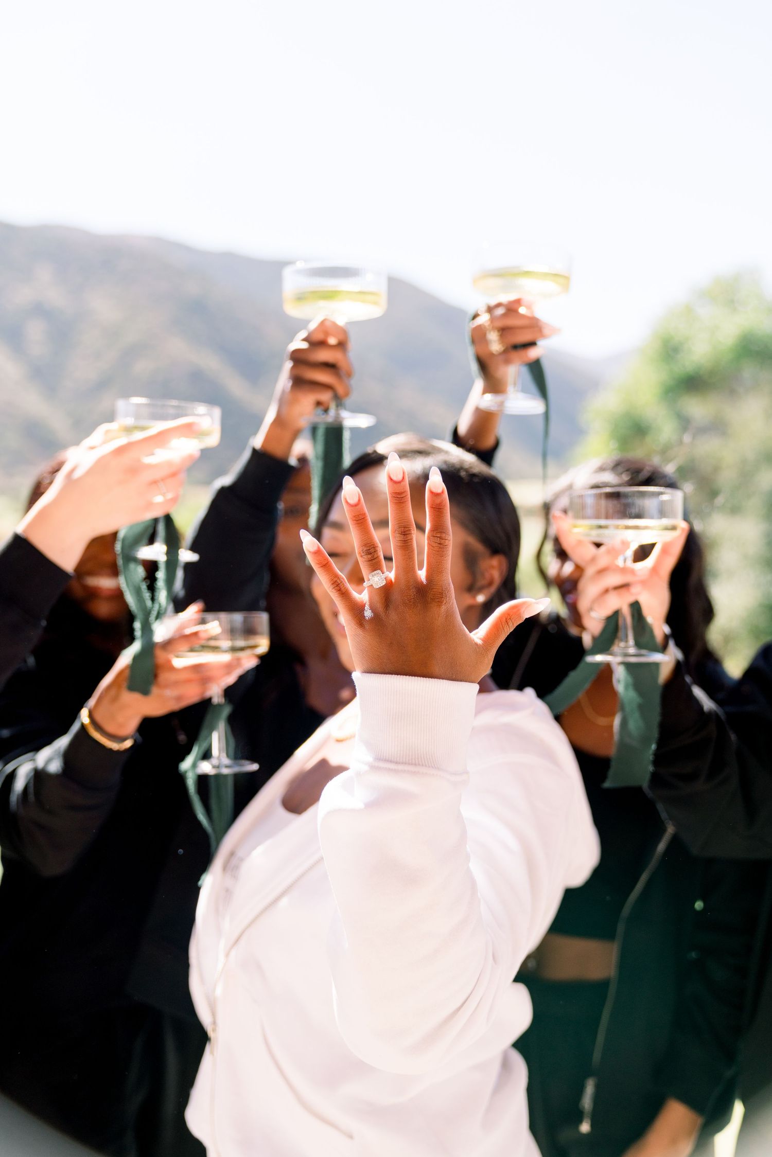 Wedding party raises champagne glasses in celebration with mountain backdrop during outdoor toast.