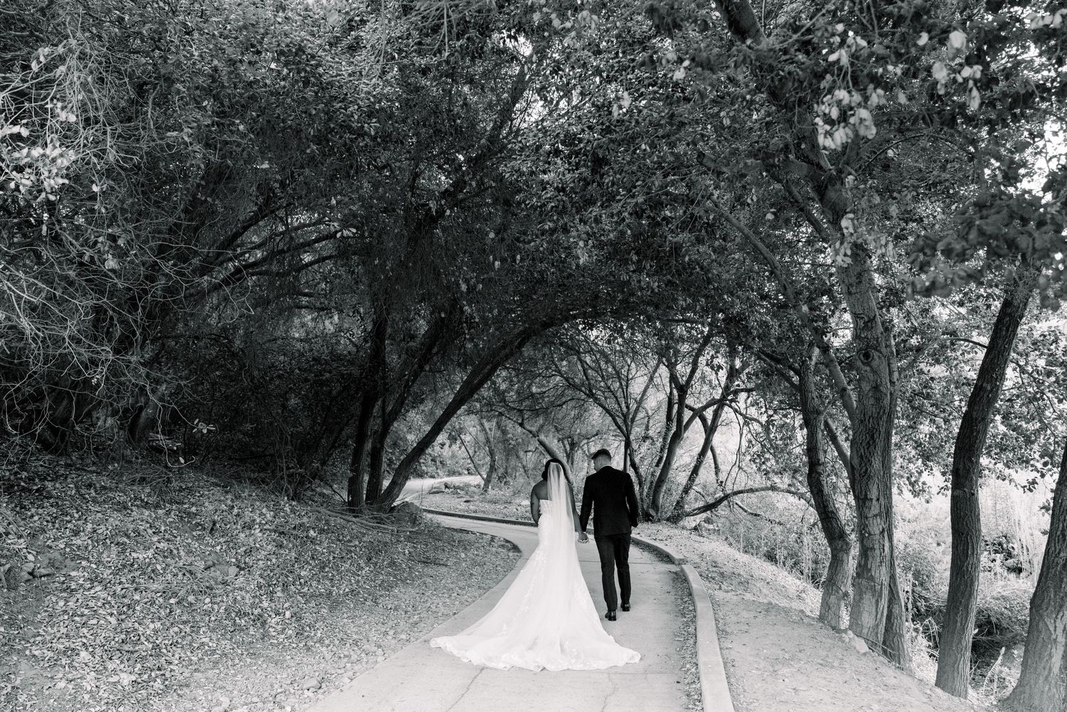 Black and white photo of couple walking down tree-lined path.