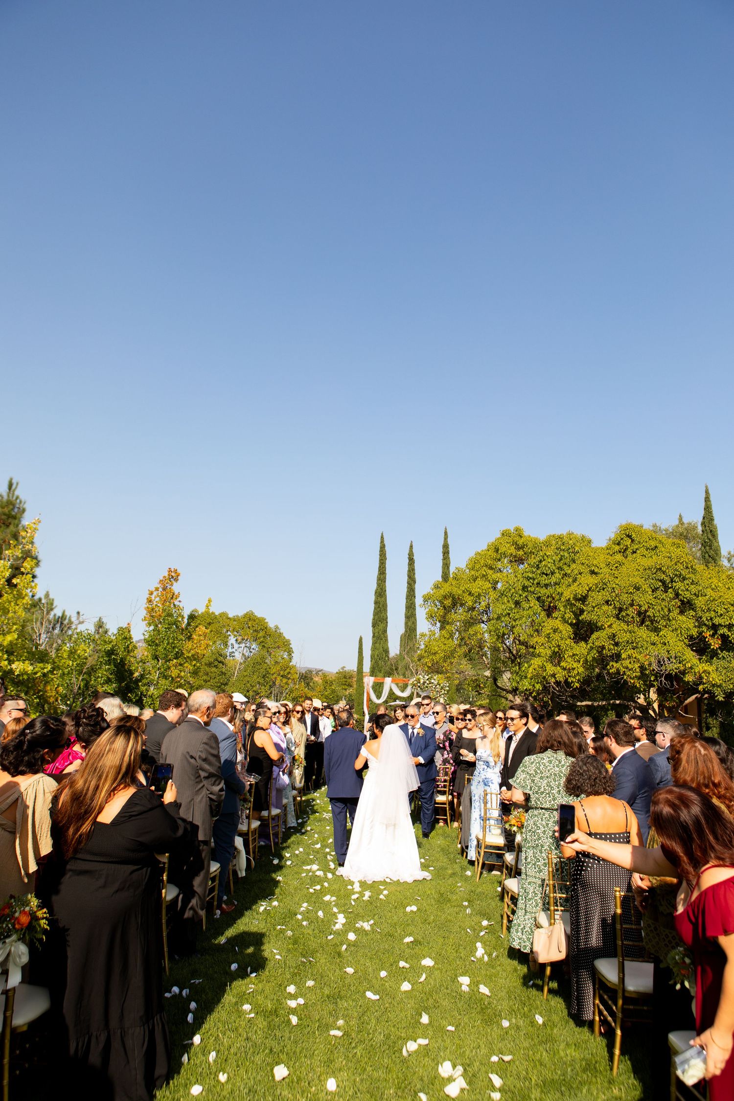 Outdoor wedding ceremony with guests seated on white chairs along a grassy aisle lined with flower petals.