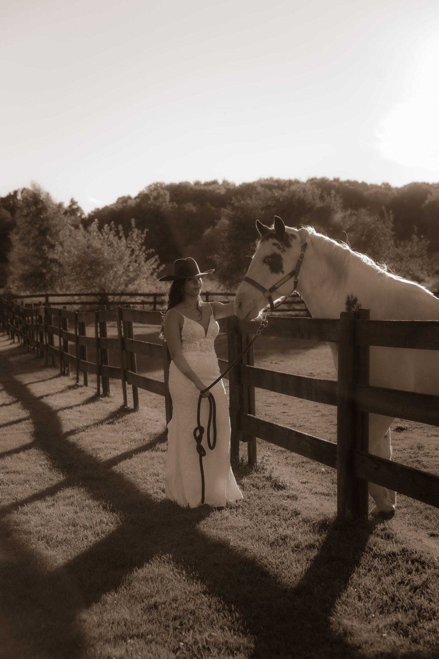 A backlit portrait of someone in a wedding dress with a white horse at a wooden fence.