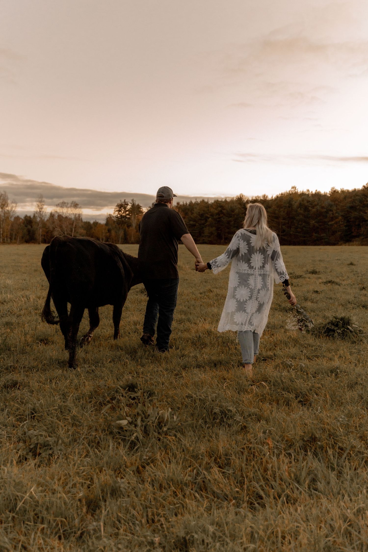 Couple walking with black cow in open field during golden sunset.