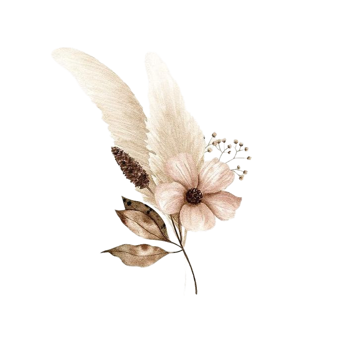 Delicate watercolor illustration of flower with feathers in neutral tones.