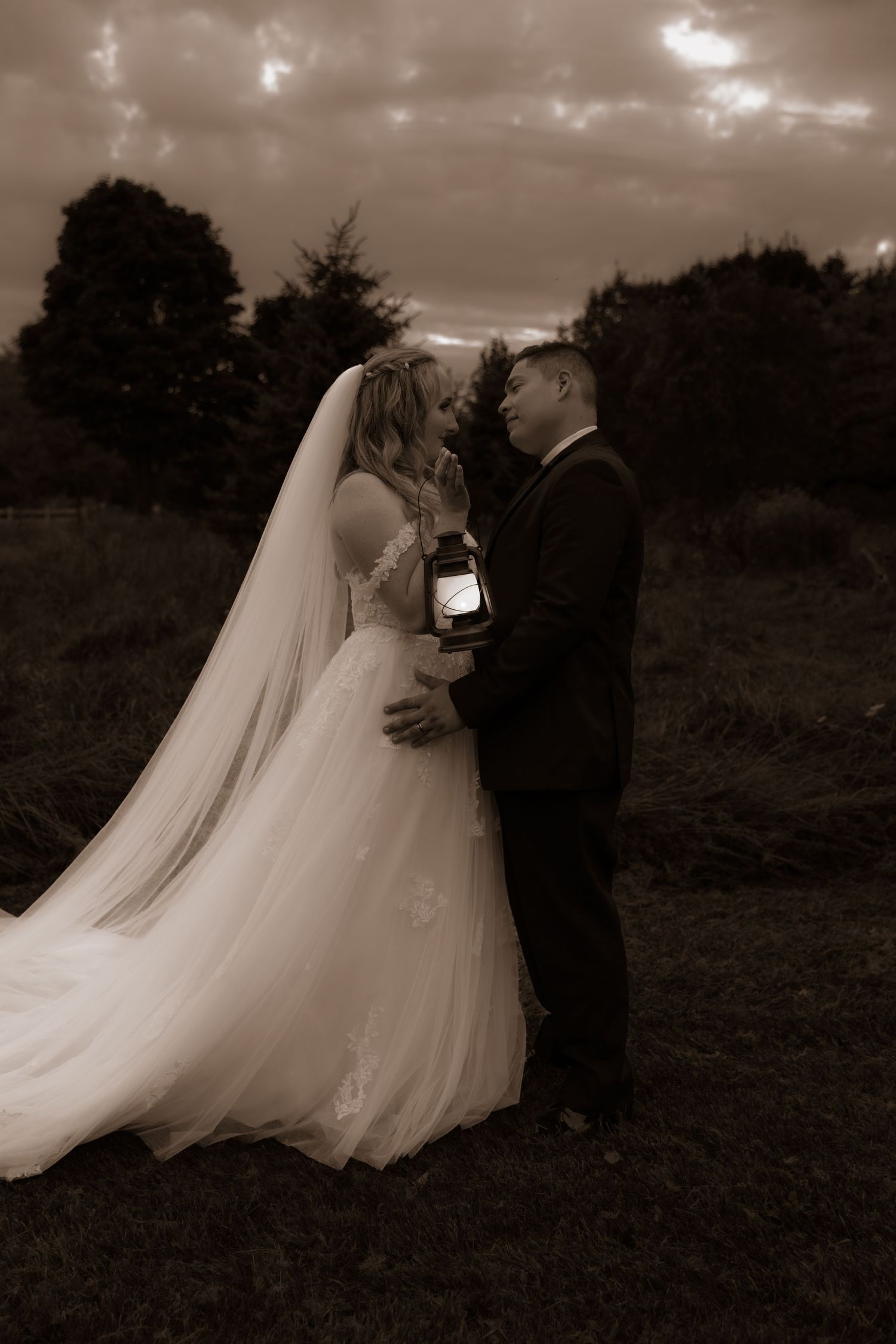 Romantic wedding portrait with couple in outdoor setting under moody sky.