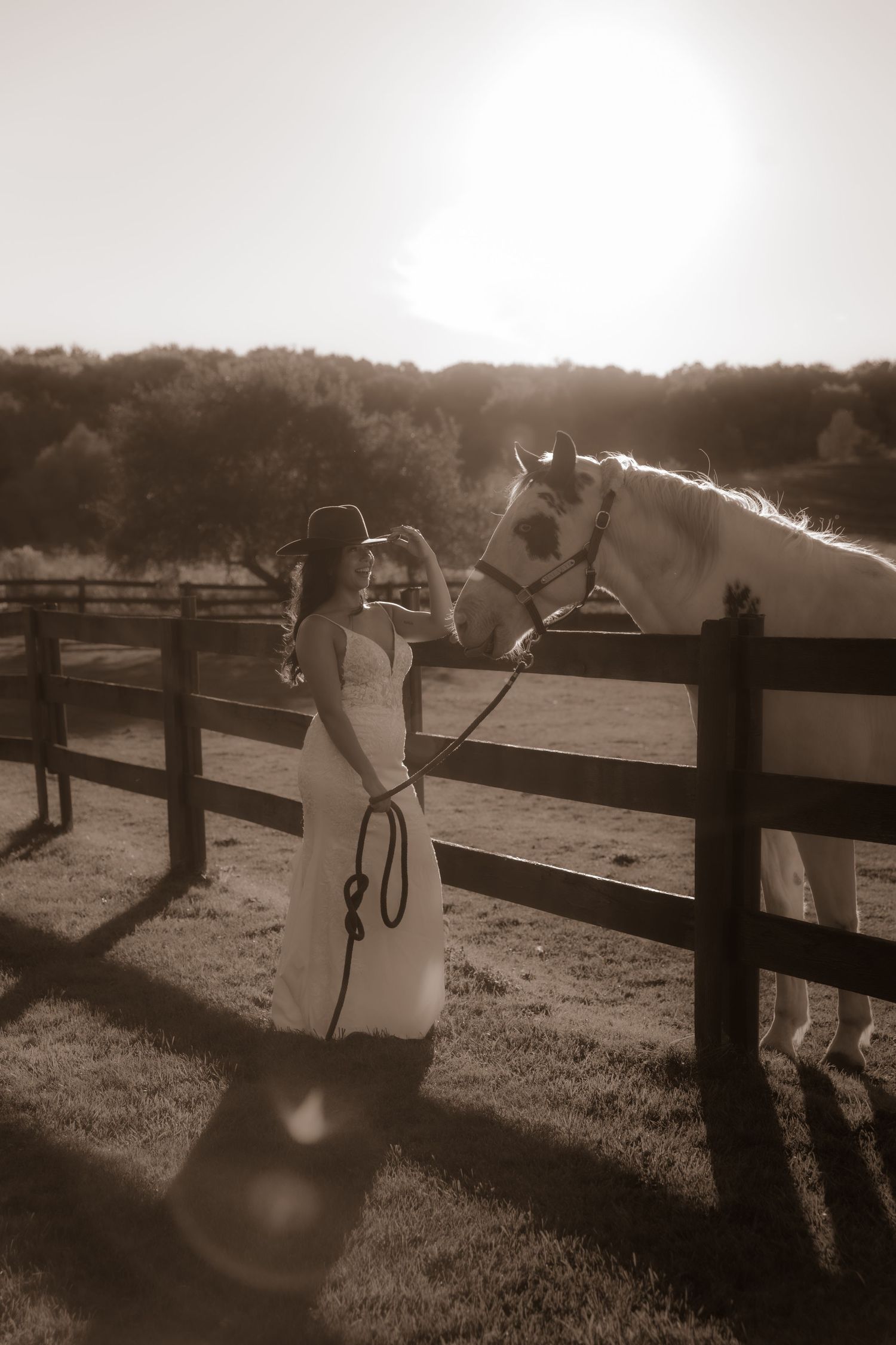 A serene sunset moment between a white horse and someone in a wedding dress by a wooden fence.