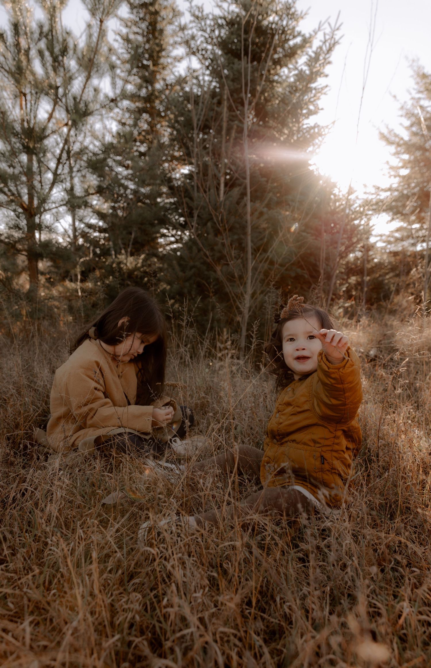 Two people sit in a sun-lit field of tall brown grass as golden sunlight filters through evergreen trees in autumn.