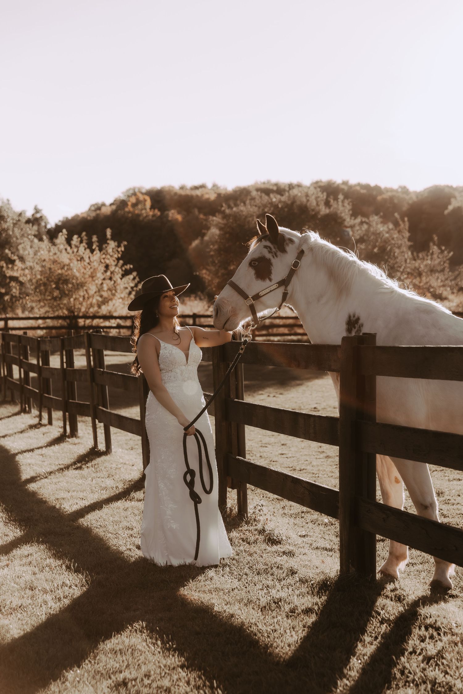 A serene moment with a white horse at a rustic wooden fence during sunset.