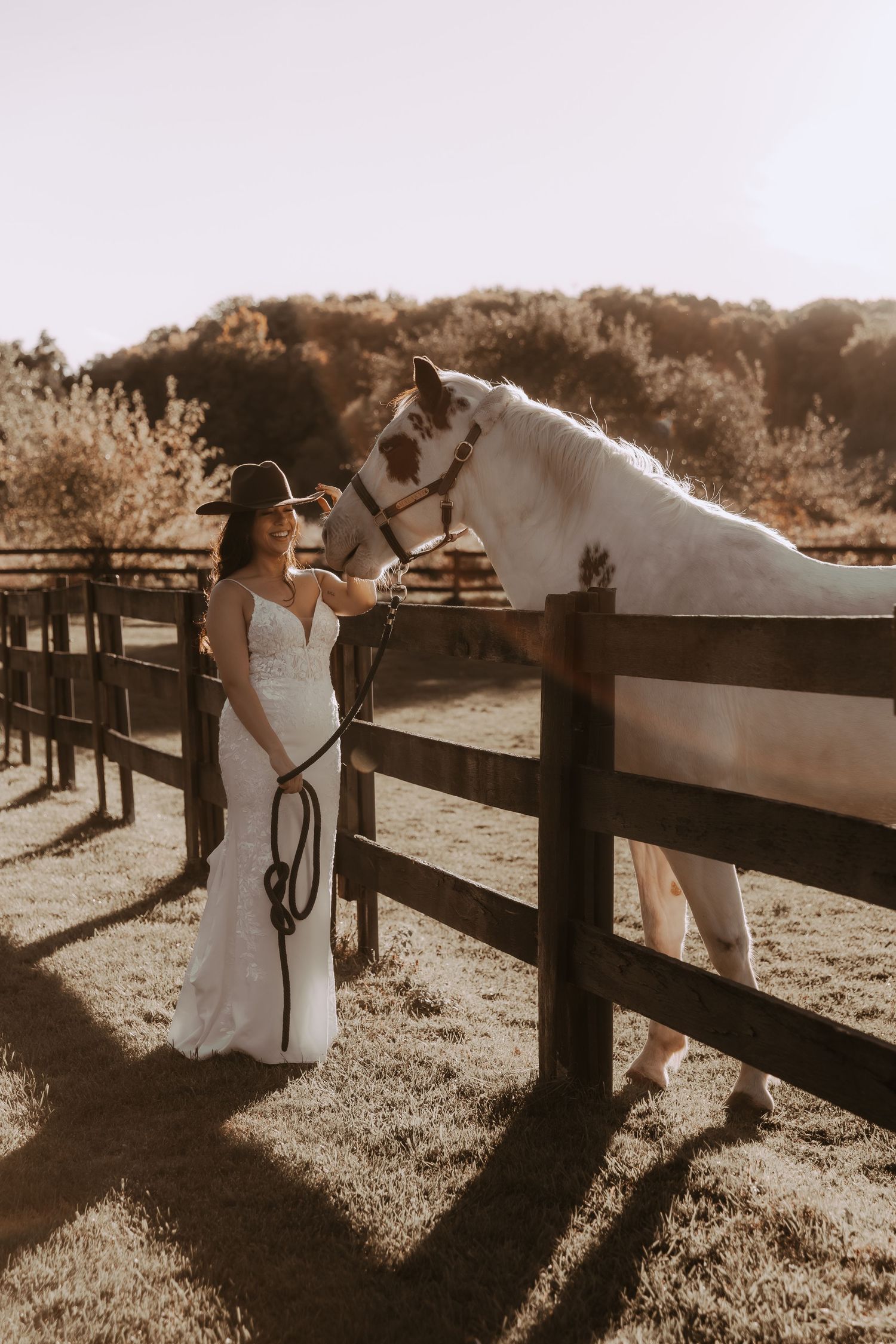 Bride pets white horse through wooden fence during golden hour photo session.
