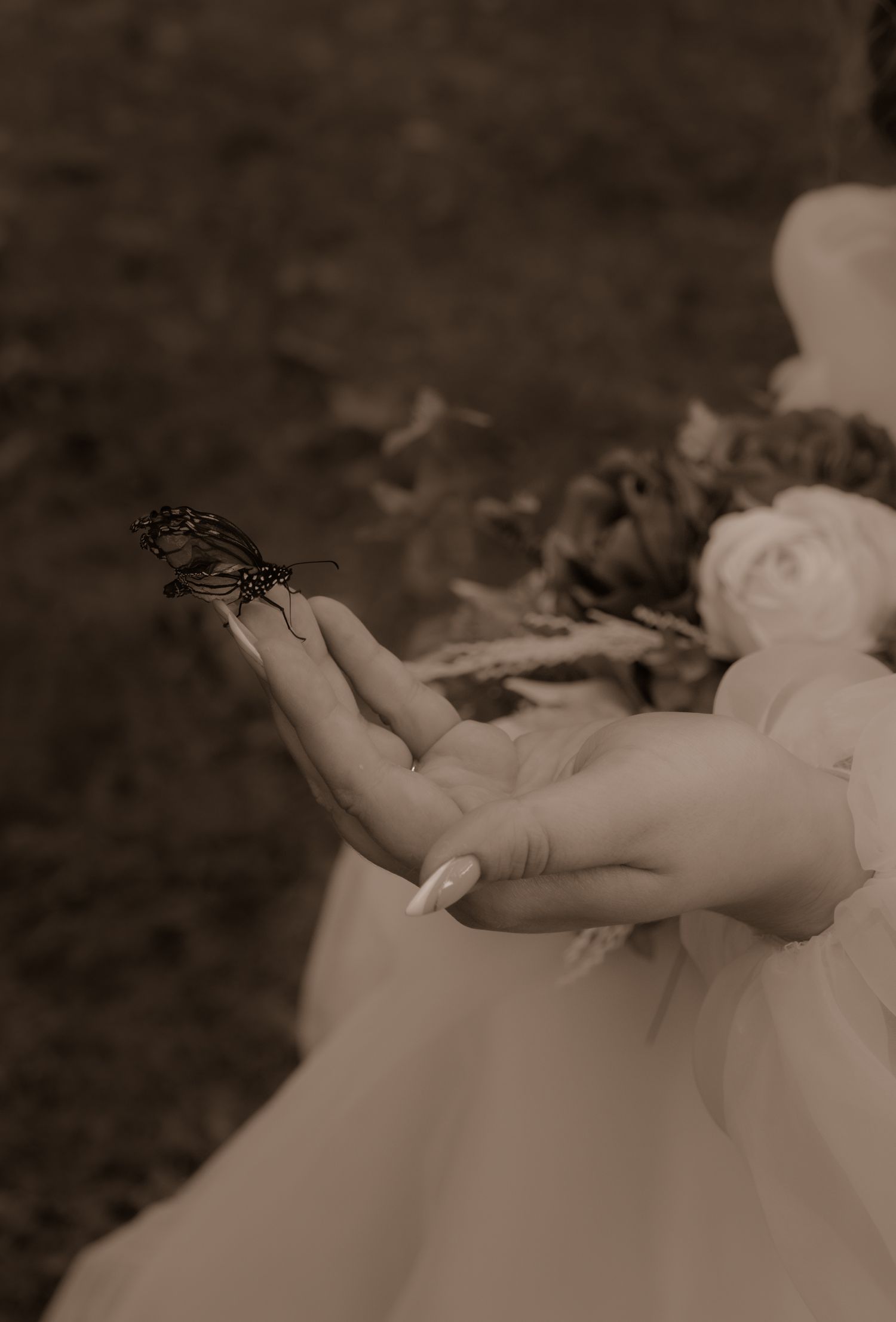 Sepia-toned artistic photo of butterfly perched on outstretched hand with dress fabric.