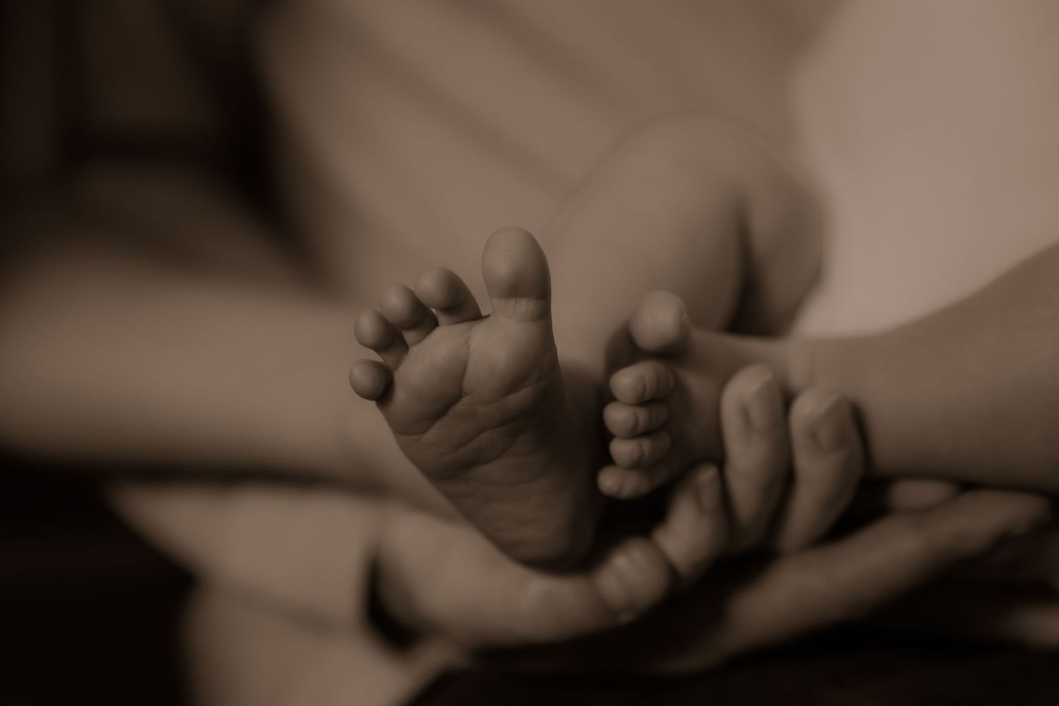 Tiny newborn baby feet rest gently in caring hands in a soft monochrome capture.