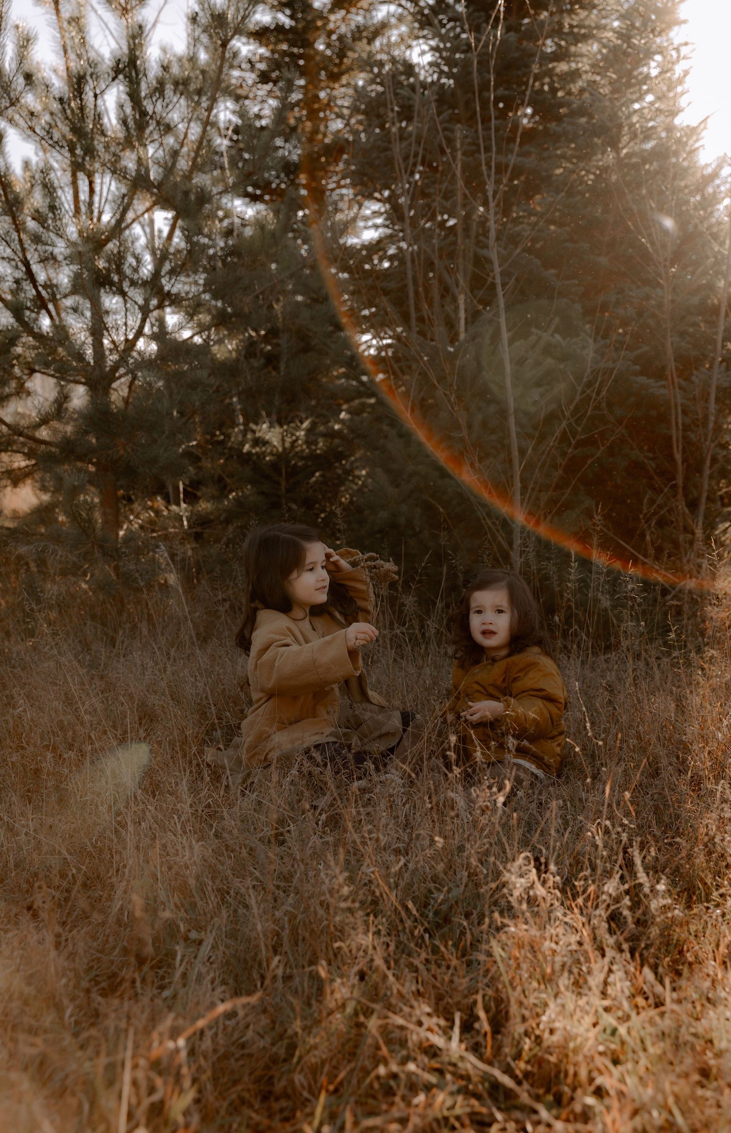 Two people sit among tall grass and trees in a dreamy, sepia-toned autumn forest scene.