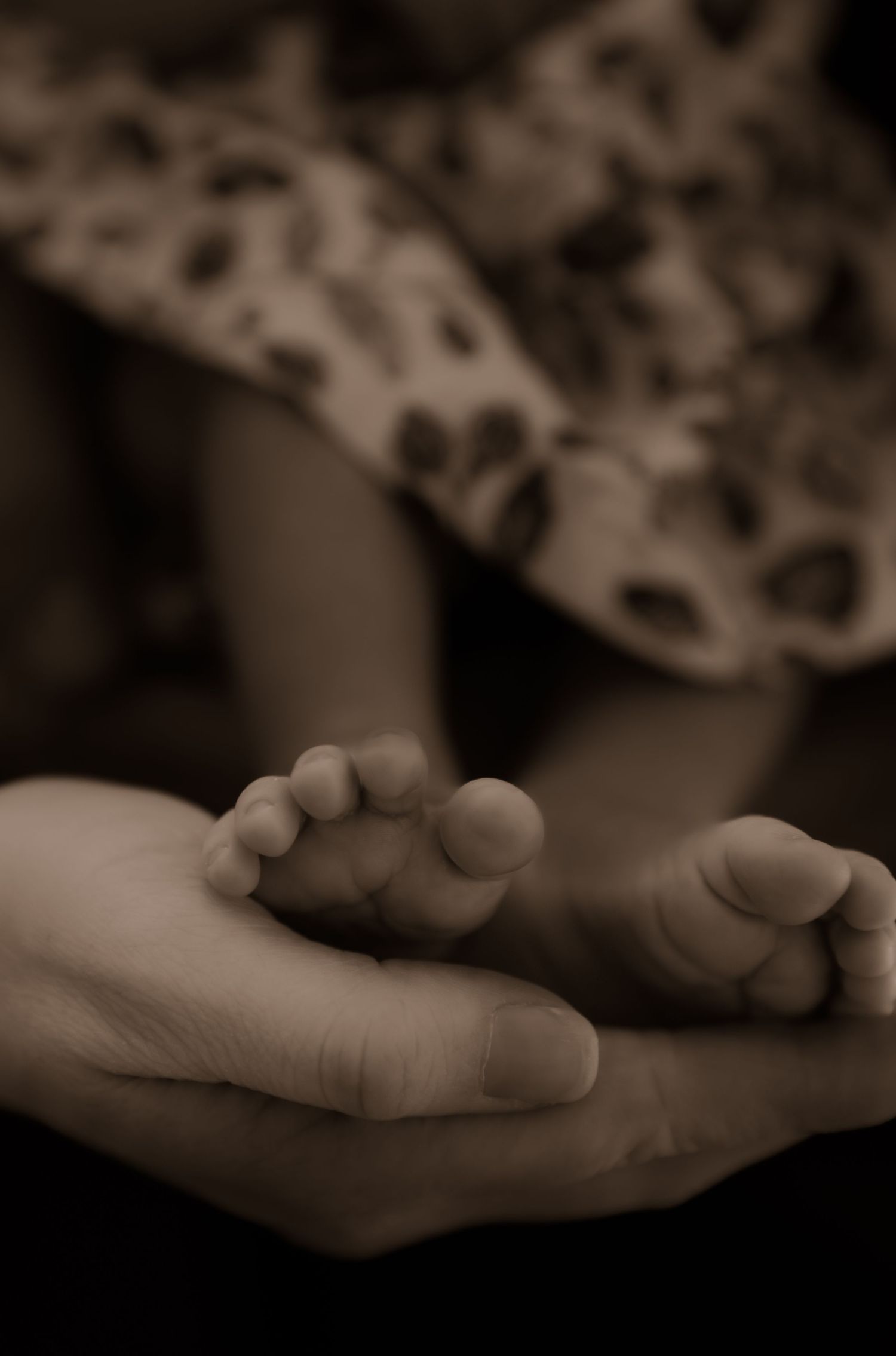 Tiny baby feet gently resting in adult hands in sepia toned close-up.
