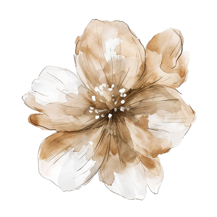 Sepia-toned watercolor flower with soft white petals and detailed center.
