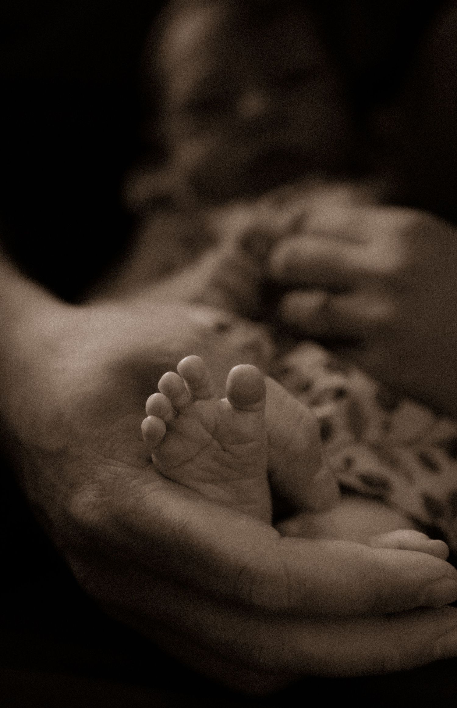 Artistic capture of infant foot being held gently in adult hands.