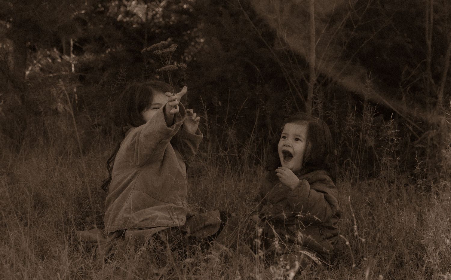 Nostalgic sepia photograph capturing playful interaction between children outdoors.