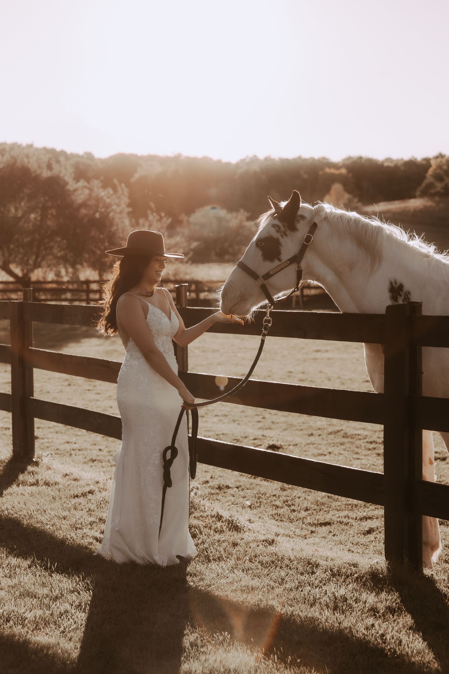A white horse looks over a wooden fence at someone wearing a wedding dress in the sunset light.