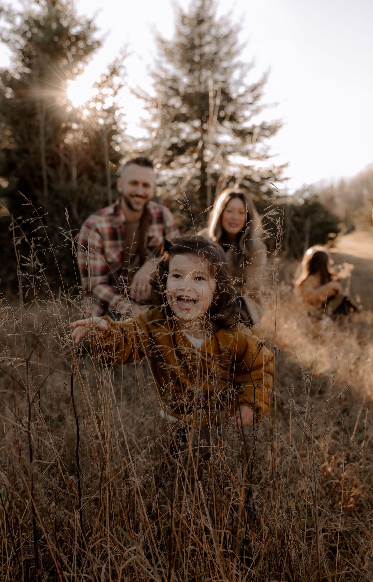 A family sits together in tall golden autumn grass with sunlight filtering through evergreen trees in the background.