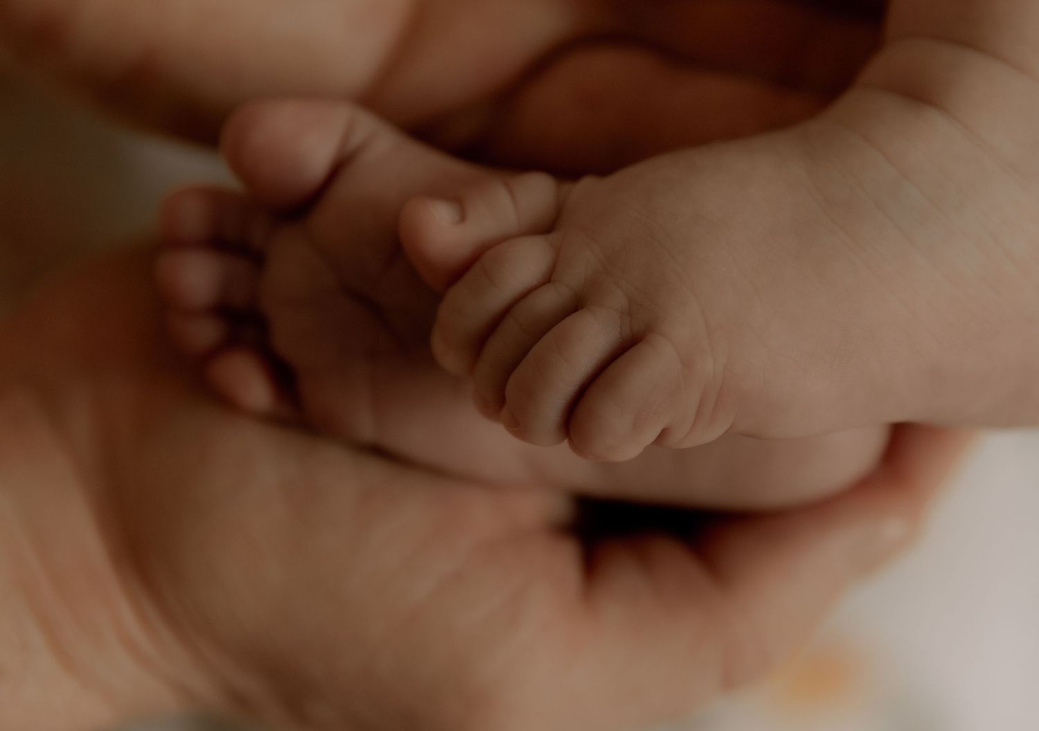 Close up of tiny newborn baby feet being gently held in adult hands.
