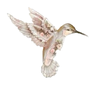 Delicate watercolor illustration of a hovering hummingbird with wings spread in soft pink tones.