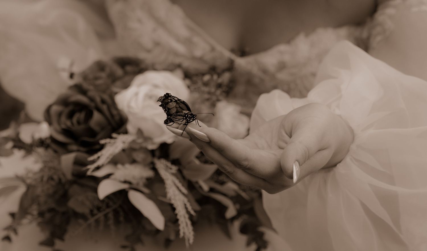 A sepia photograph showing hands holding a delicate butterfly near a wedding bouquet.