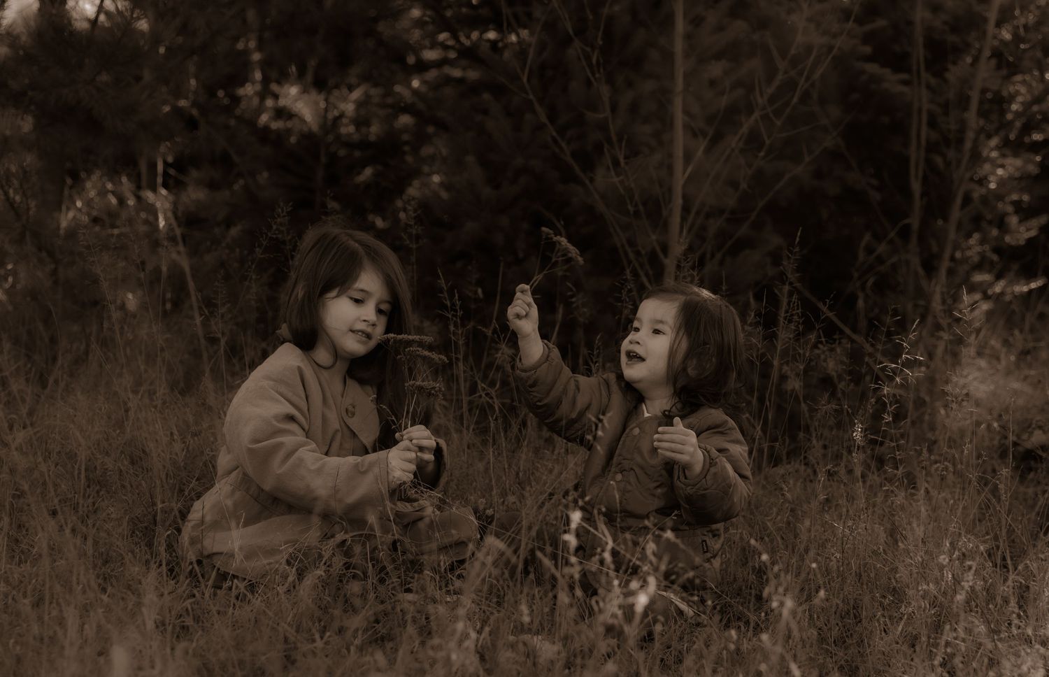 Sepia image of children expressing joy and excitement while playing in tall grass.