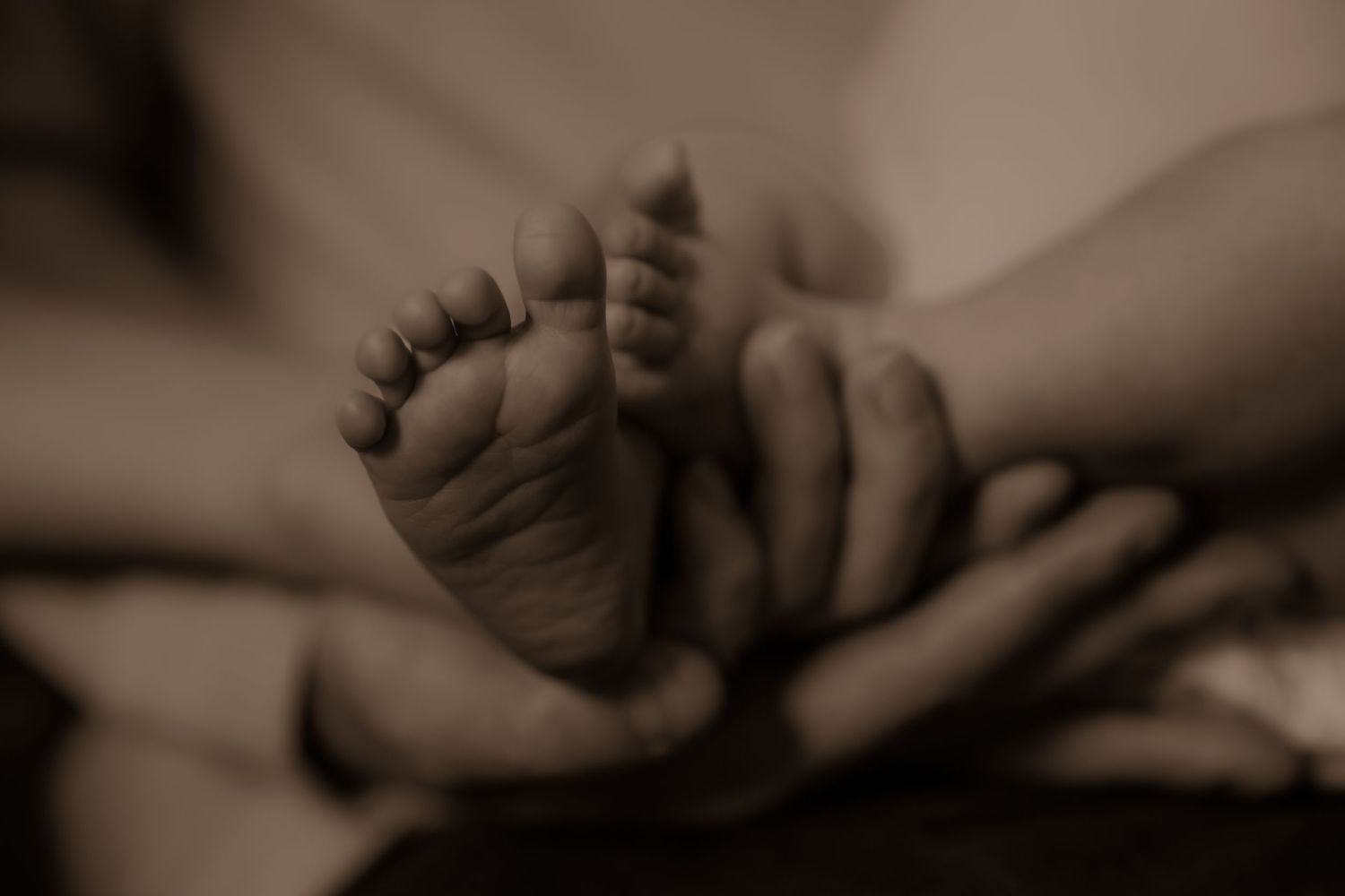 A close-up sepia photograph of tiny baby feet being gently cradled in adult hands.
