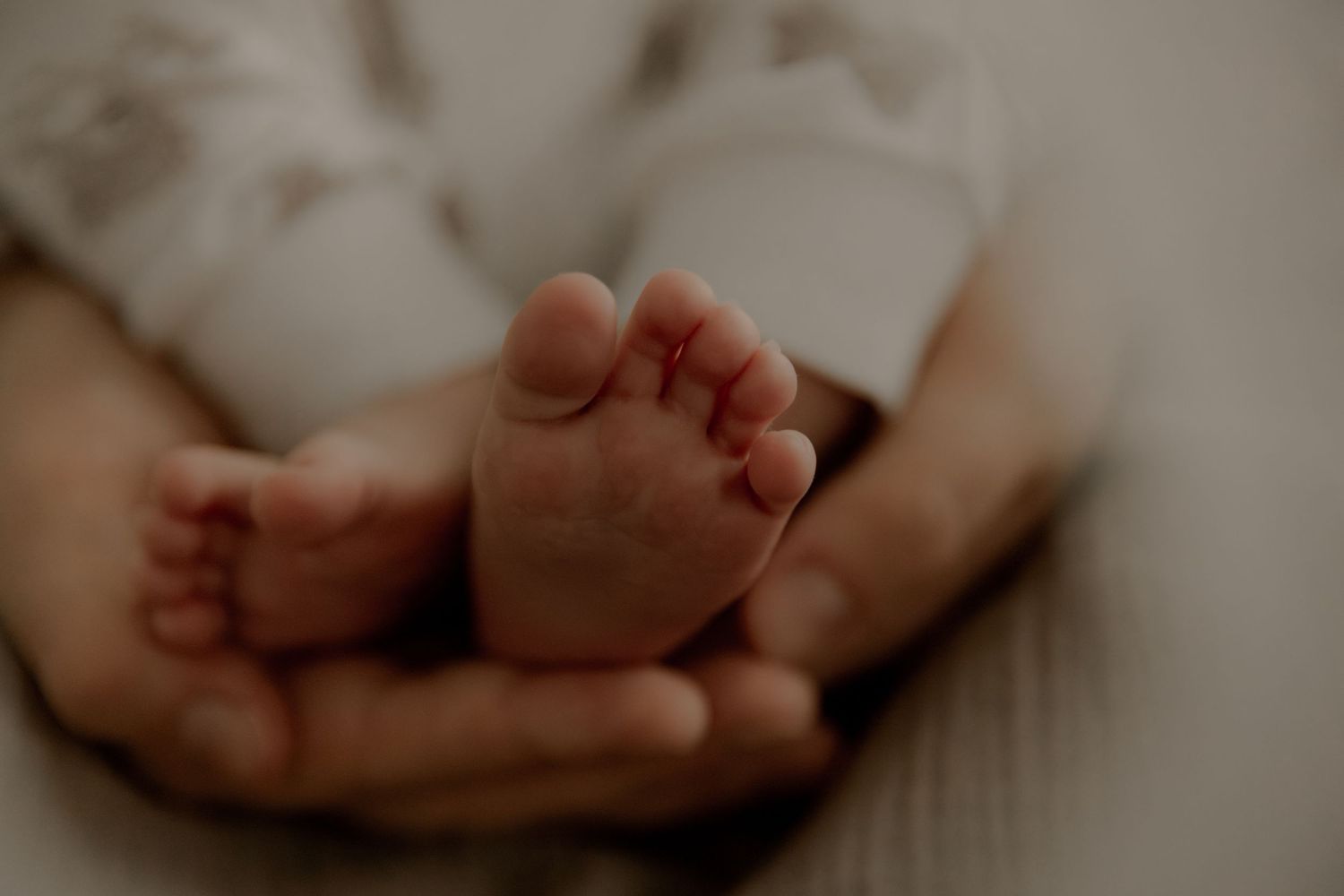 Close-up of tiny baby feet cradled in gentle hands.