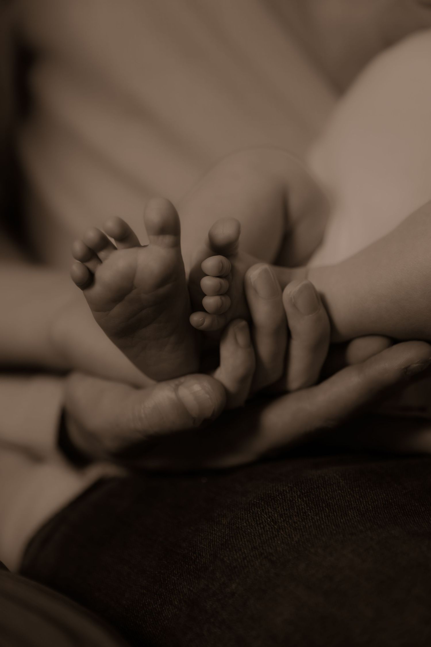 Close-up black and white photo of tiny newborn baby feet being gently held in adult hands.