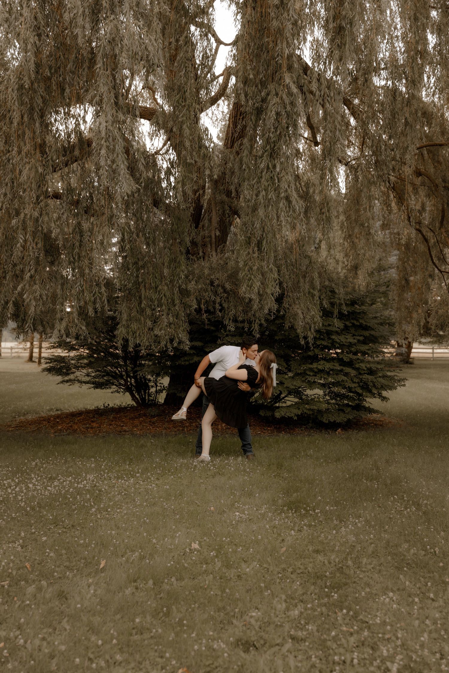A dramatic dance lift performed under a weeping willow tree.
