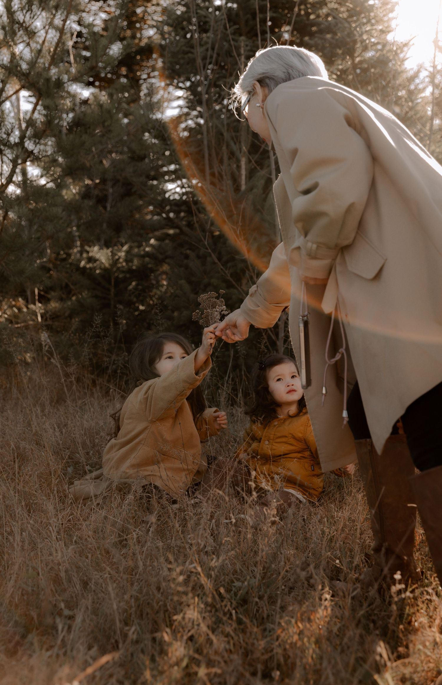 Heartwarming outdoor scene in warm autumn sunlight showing gentle interaction among figures in tall grass at sunset.