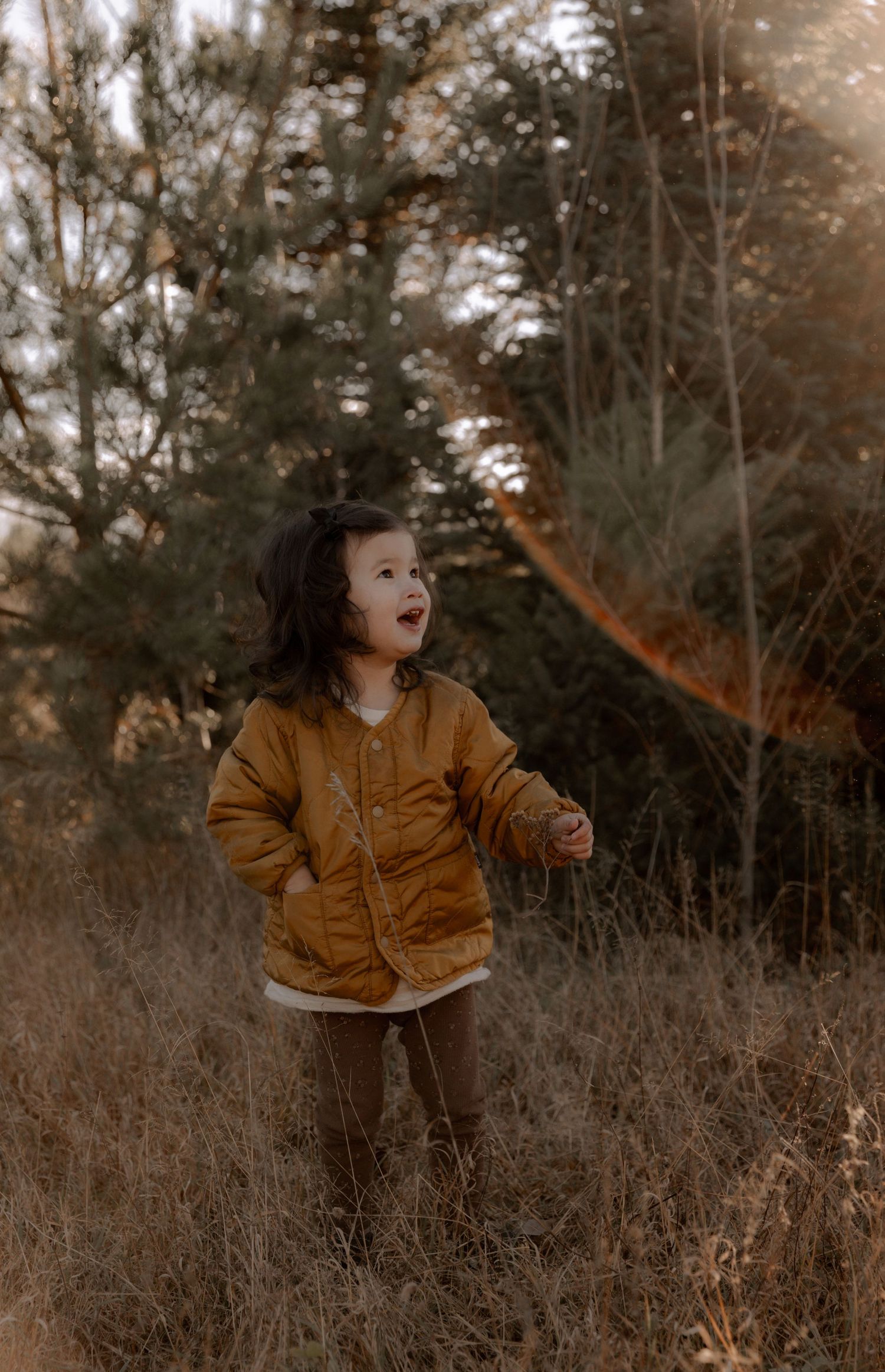 Standing in tall grassland at sunset wearing a warm mustard-colored jacket against a backdrop of evergreen trees.