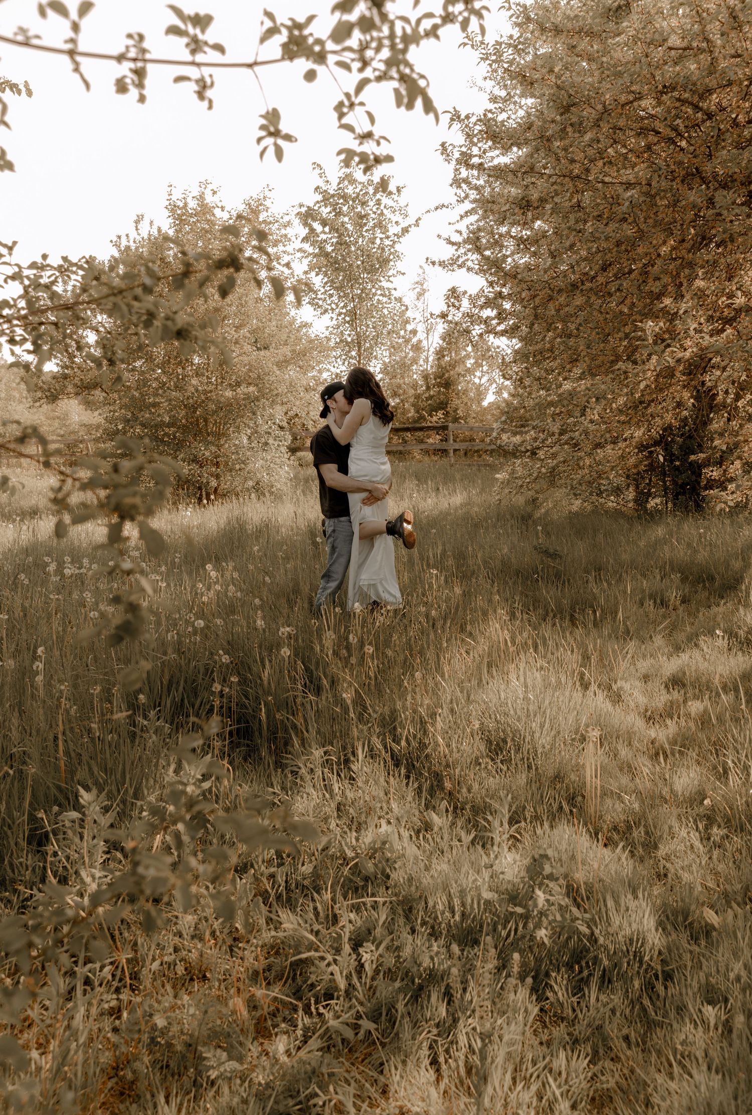 A romantic couple embraces in a sun-drenched meadow surrounded by trees in warm sepia tones.