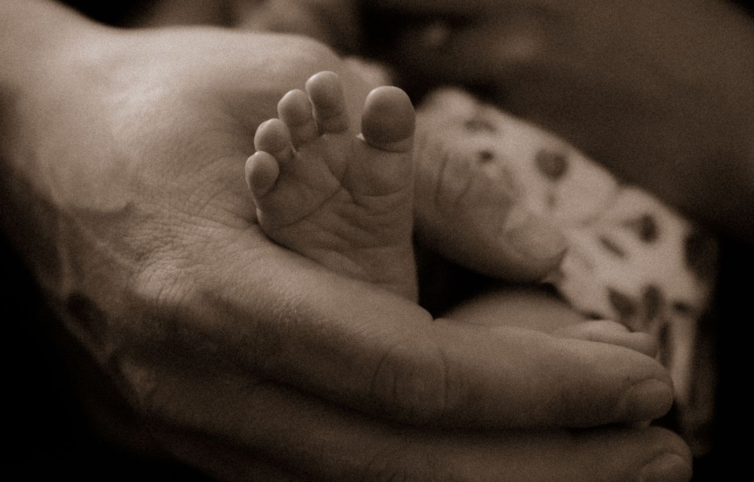 Sepia photograph of small baby foot resting in parent's palm.