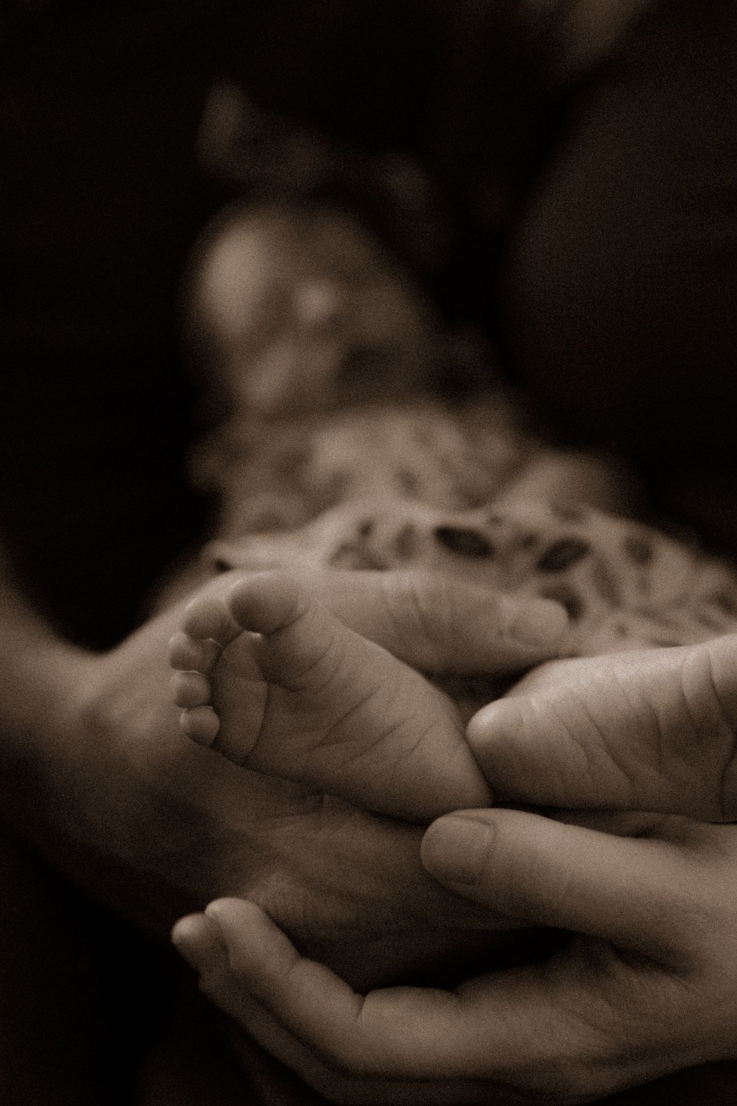 Moody black and white image of baby feet cradled in caring hands.
