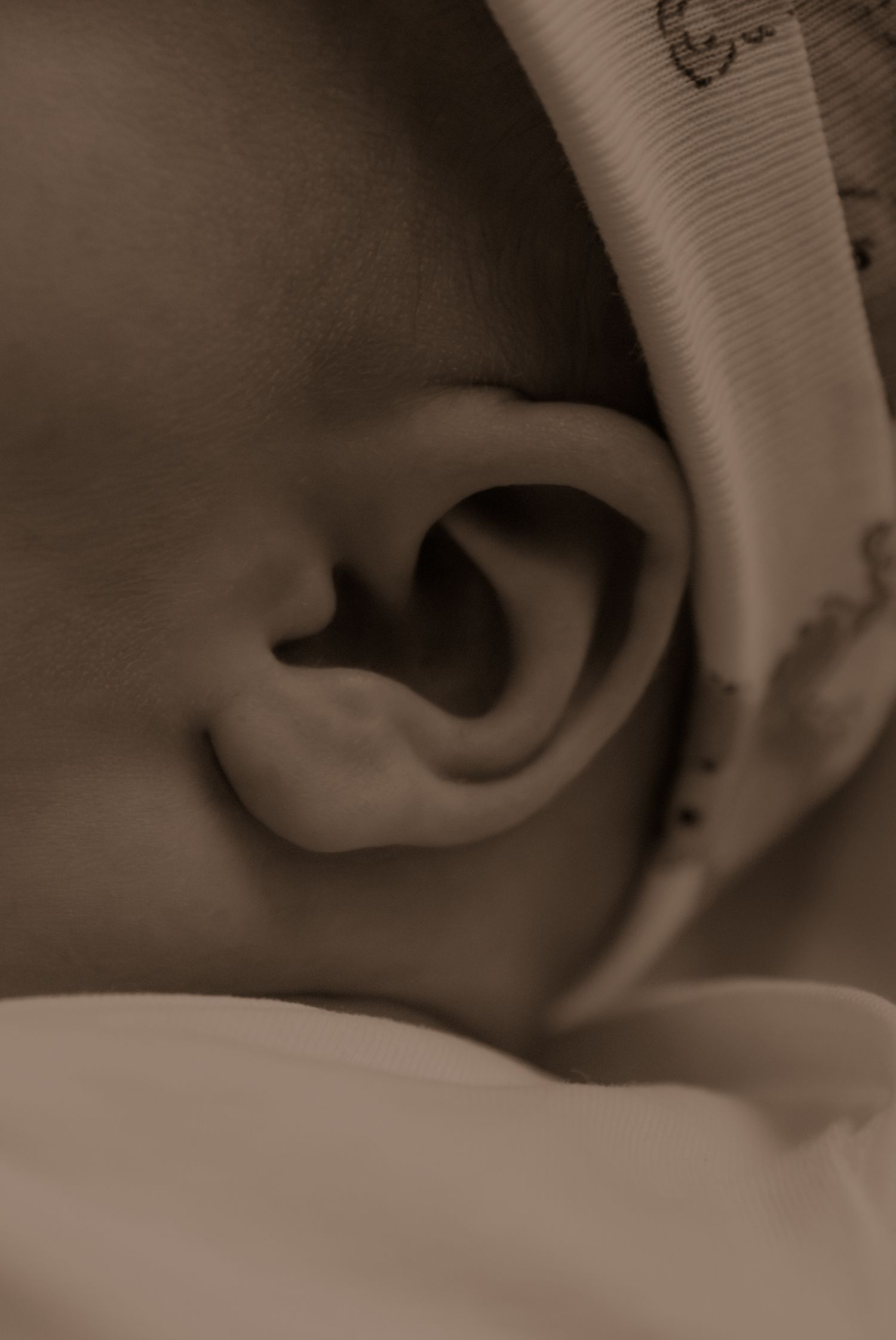 Close-up sepia toned photograph of a baby's ear showing delicate anatomical details.
